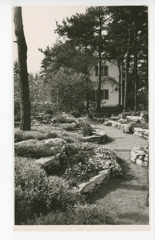 Vaade aiale kiviktaimlaga