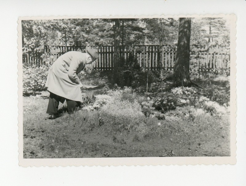 Friedebert Tuglas Nõmmel, juuni 1951
