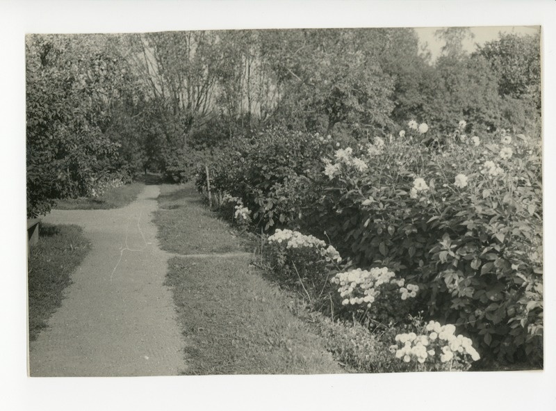Uderna kooli aed, 25.09.1965