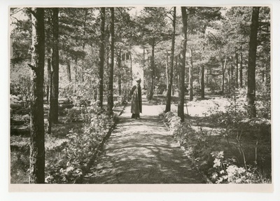 Friedebert Tuglas aias jalutamas, 1959  duplicate photo