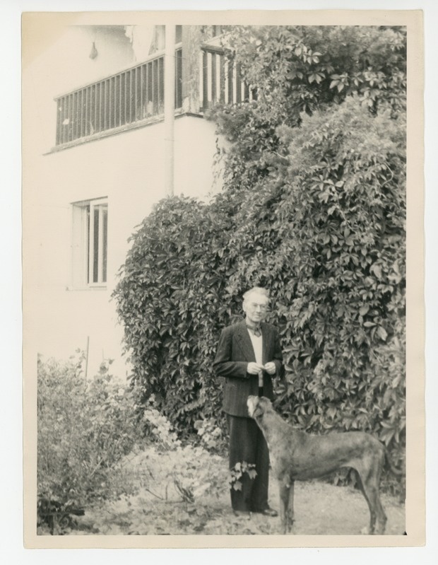 Friedebert Tuglas koeraga aias