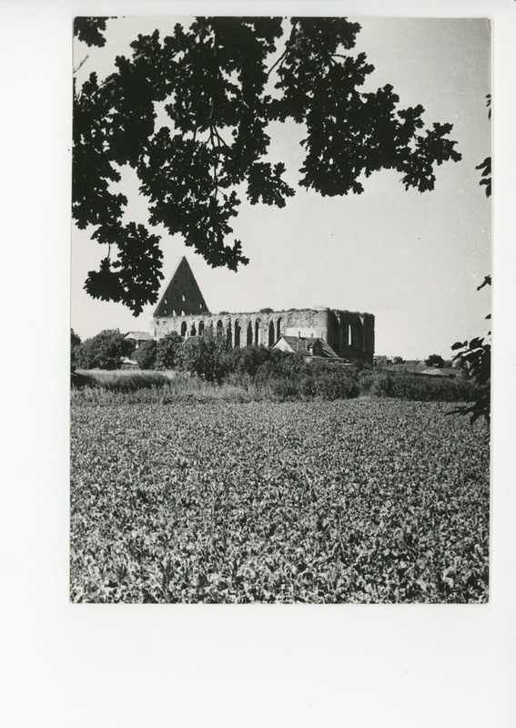 Pirita kloostri varemed, 1939