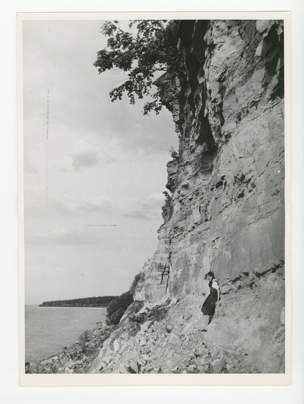 Virumaa ranniku vaade, 1939