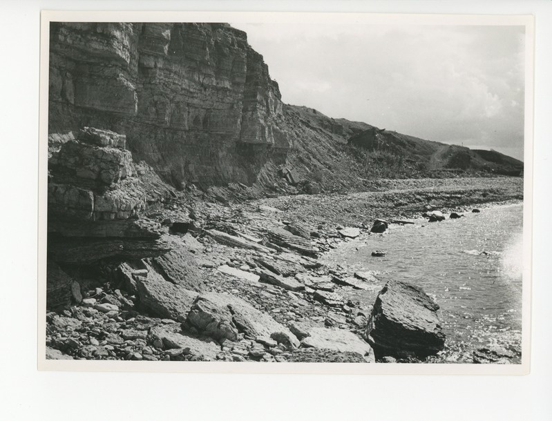 Paldiski rannik, 1939