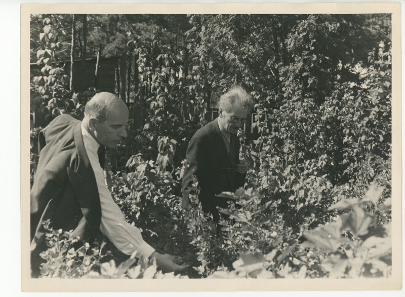 Johannes Semper Friedebert Tuglasega suvises aias