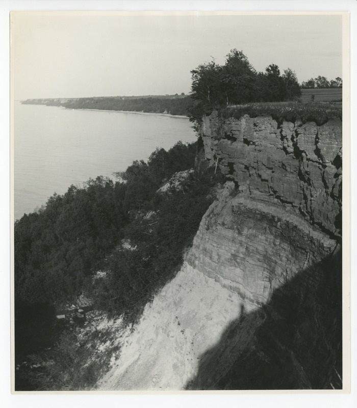 Toila paekallas