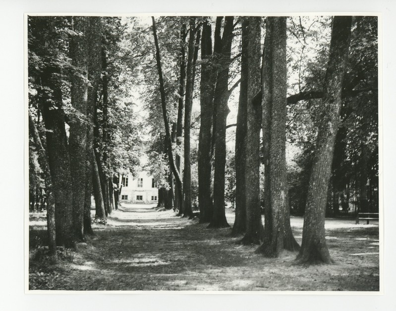 Ahja mõis alleega esiplaanil, 07.1938