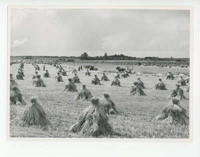 Otepää maastik, 1939  similar photo