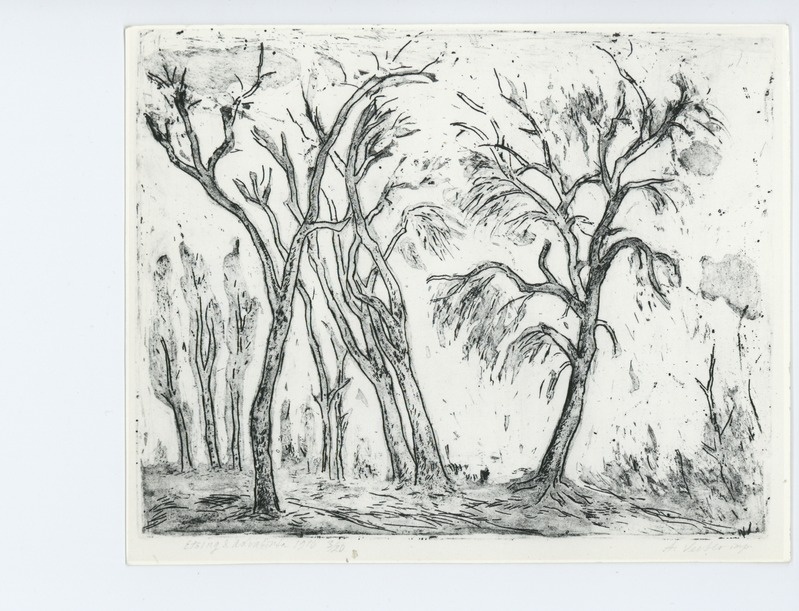 Agaate Veeberi "Salu" (1970)