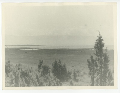 Kassari  duplicate photo