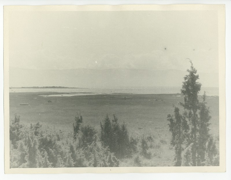 Kassari