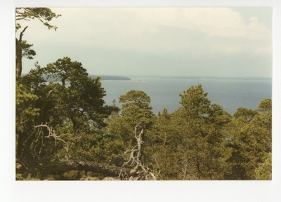 Ahvenamaa Önningebyst põhjas üksik kivine neem Lumpari rannal, Tuglase lemmikpaik  duplicate photo