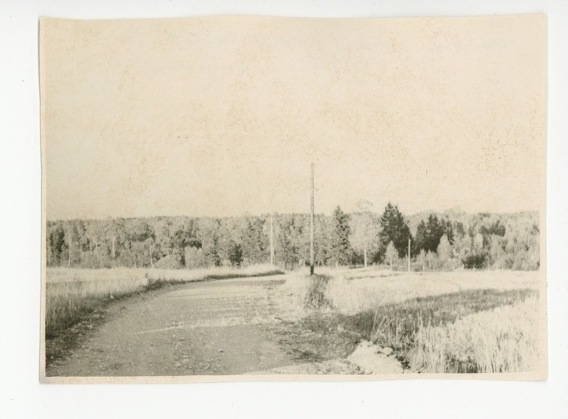 See tee viib soosillale Vargamäel