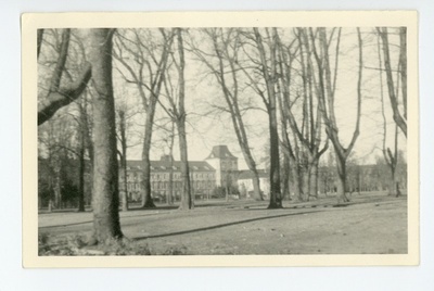 Bonni ülikool, sügis 1951  duplicate photo