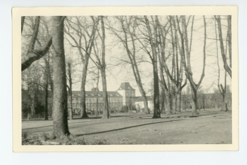 Bonni ülikool, sügis 1951