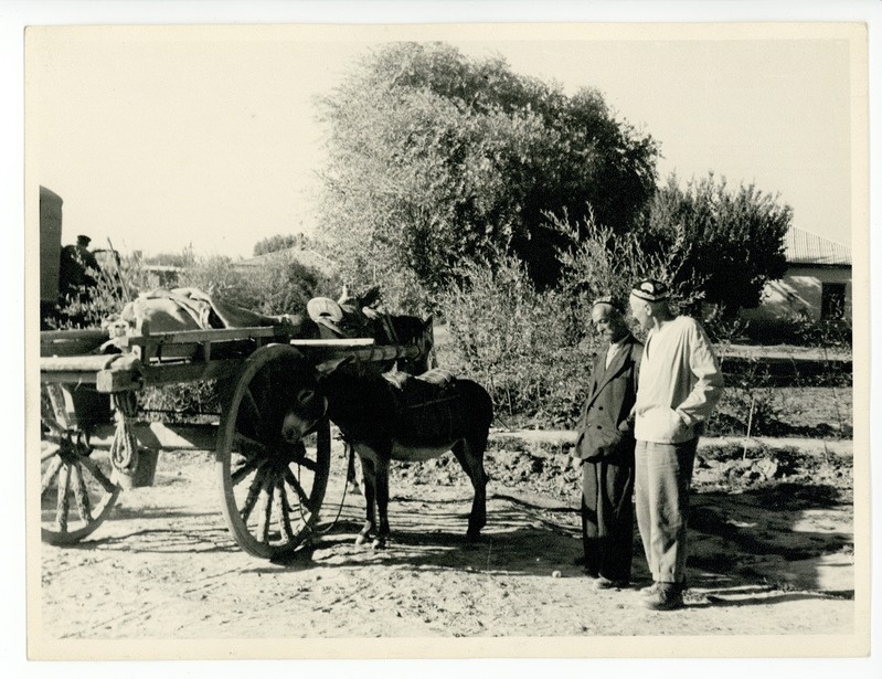 Eeslikaarik Samarkandis, 1960