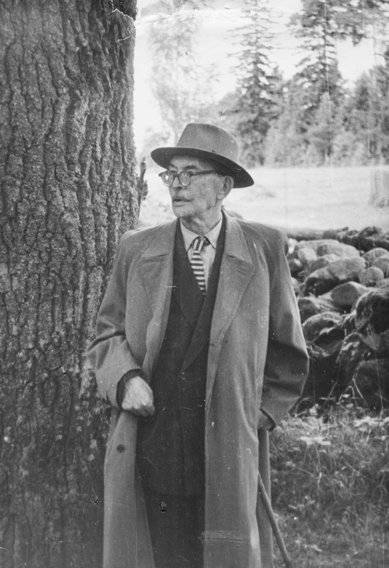 Friedebert Tuglas Võnnu kalmistul