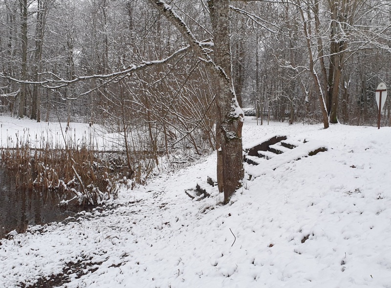 Suurvesi Keila jõel. Ujumiskoht "Punane Vähk" rephoto
