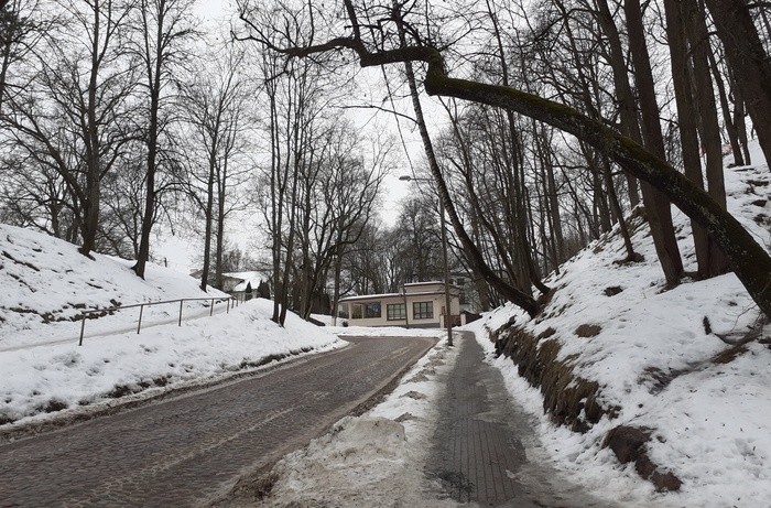 Fotoalbum Haide-Ene Rebassoo rephoto