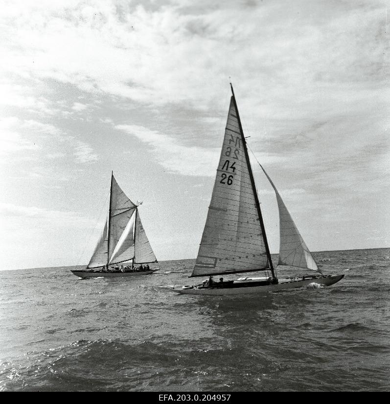 Tallinn Arts and Chronicles Films Film "Yachts in the Sea".