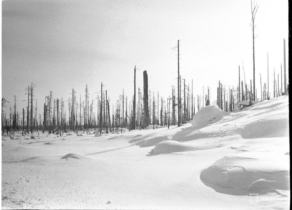 Two years ago Kolla blew a dirty, thousands of granates' snow from the heart blood of a Finnish warrior.