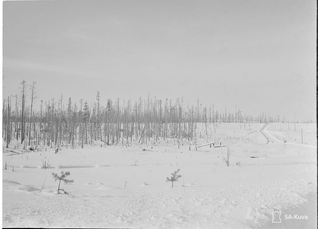 Two years ago Kolla blew a dirty, thousands of granates' snow from the heart blood of a Finnish warrior.