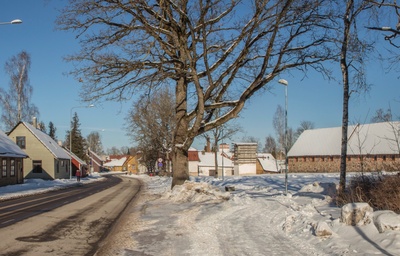 trükipostkaart, Suure-Jaani khk, Suure-Jaani,  Viljandi (Köleri)? tee, u 1910, J. Litteri kirjastus rephoto