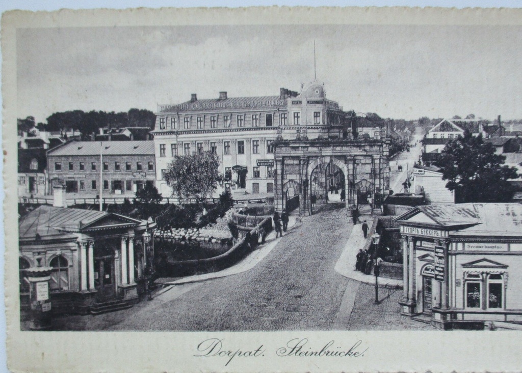 Tartu Kivisild