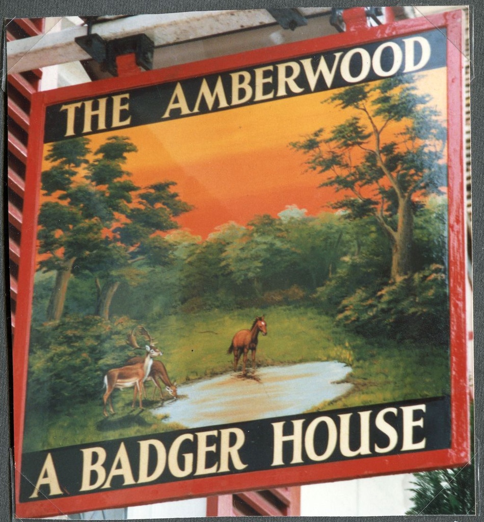 In Walkford - near Amberwood Drive. May 1987