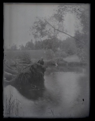 Vaade jõele, jões juurtega välja kistud puu ja puu otsas istub mees.  duplicate photo