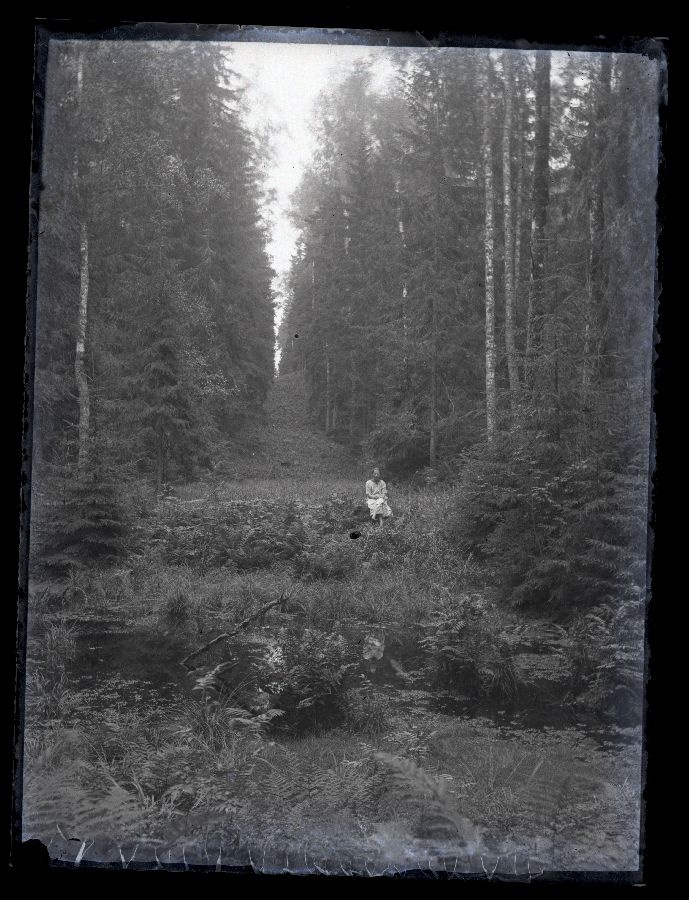 Vaade metsasihile, esiplaanil oja ning selle kaldal istuv naine.
