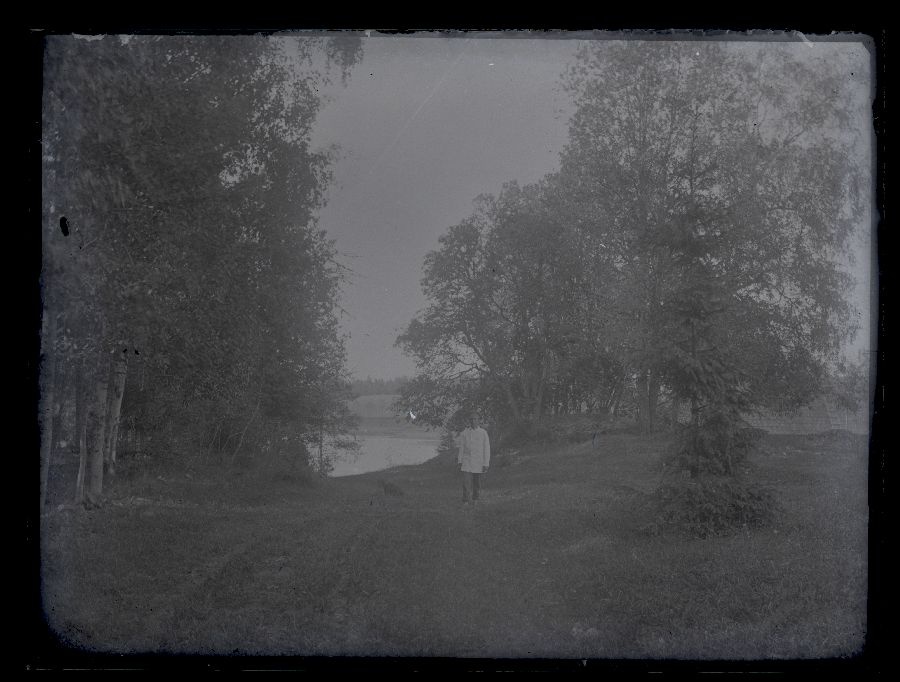 Maastikuvaade, esiplaanil kuusepuu ja valge pintsakuga meesterahvas, taustal paistab puude vahelt järv.