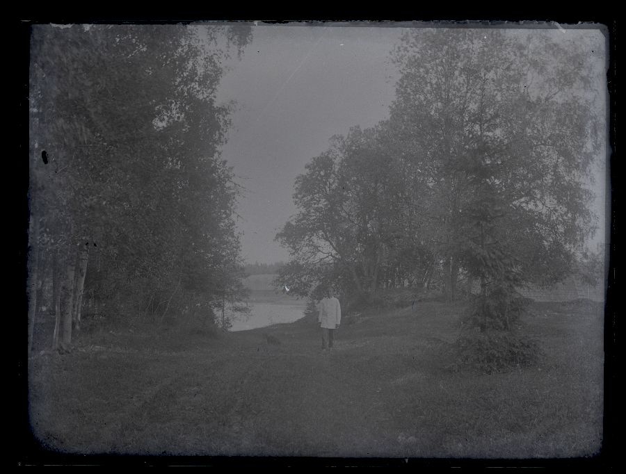 Maastikuvaade, esiplaanil kuusepuu ja valge pintsakuga meesterahvas, taustal paistab puude vahelt järv.