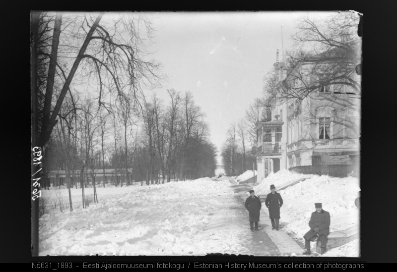 Tallinn, Kadriorg, Kadrioru lossi esine tee.
