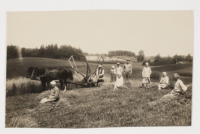Agricultural work in Põlvamaa