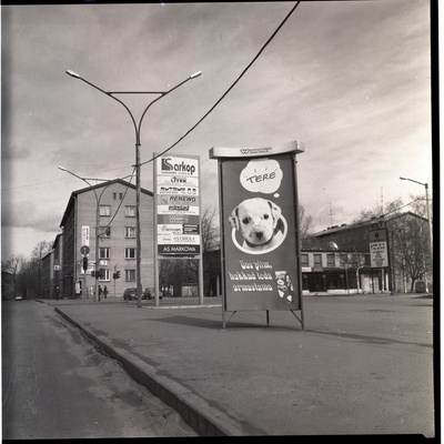 Tallinn. Pärnu mnt ja Saku tn nurk. Esiplaanil reklaamtulbad  duplicate photo