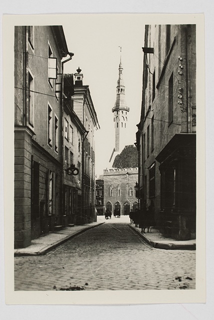 View of Tallinn Raekoja