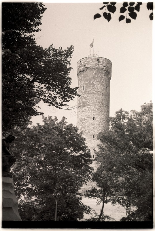 Pikk Hermann.