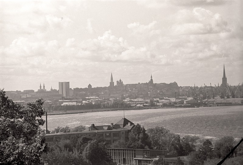 Vaade linnale Maarjamäelt