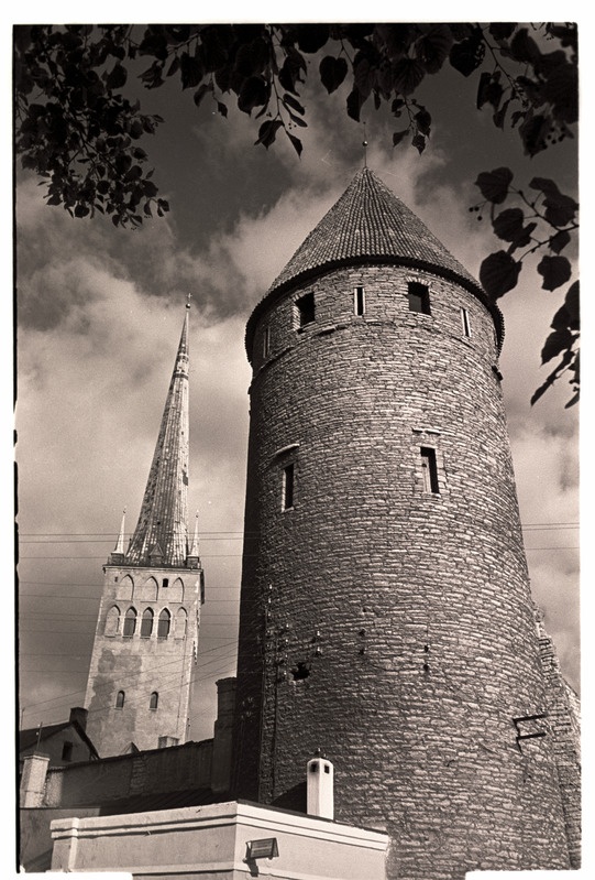 Grusbeke tagune torn
