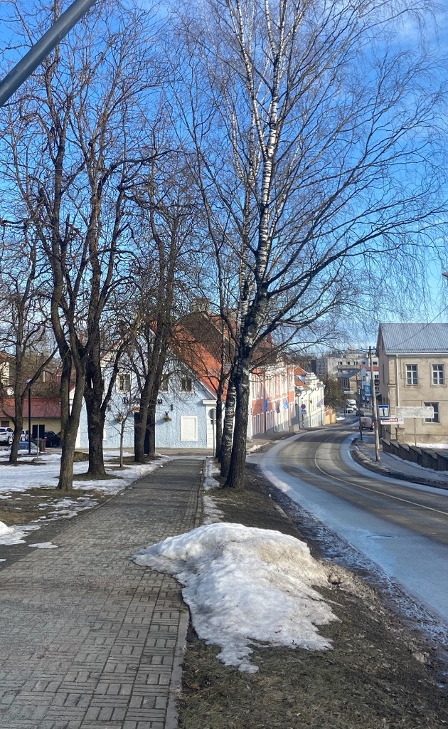 Rakvere, Tallinna tänav rephoto