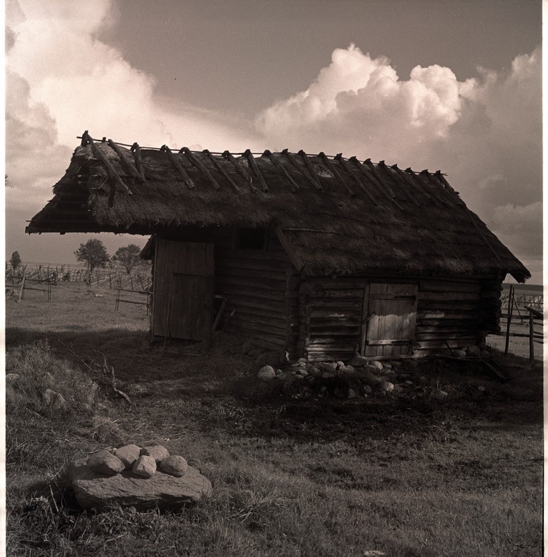 Tartumaa, palkehitis.