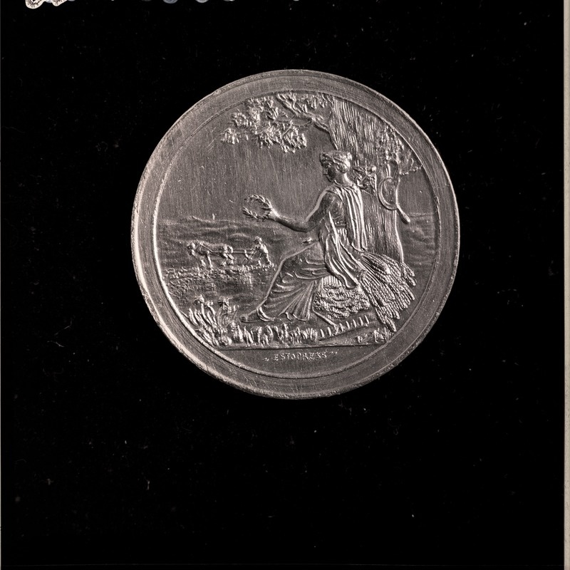 Medal TLM 18371