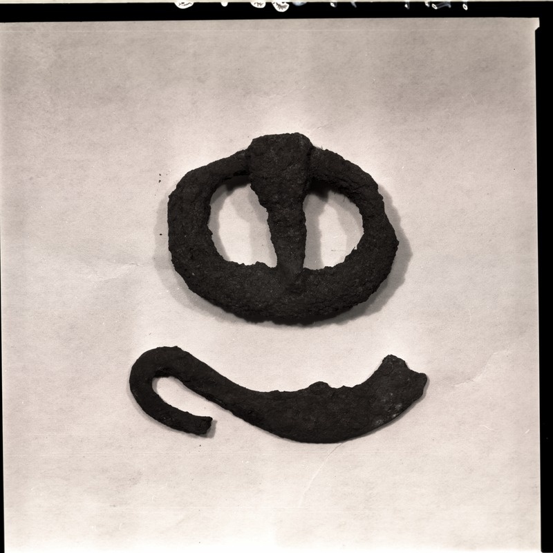 Pannal ja habemenuga