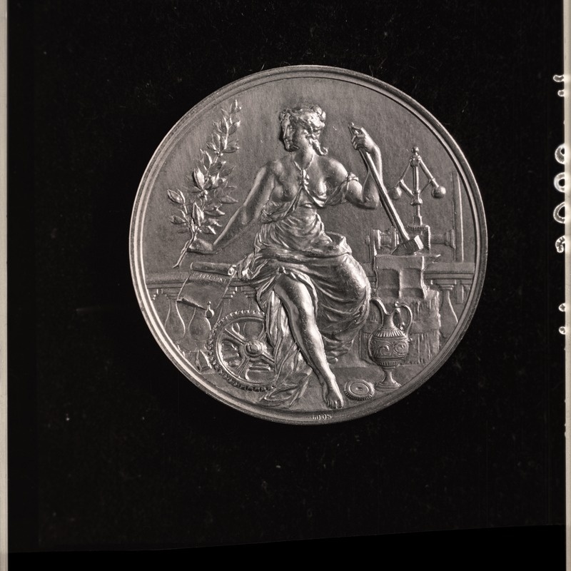 Medal TLM 18366