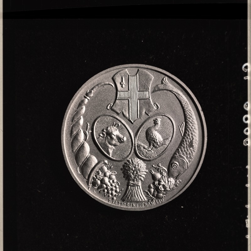 Medal TLM 18367