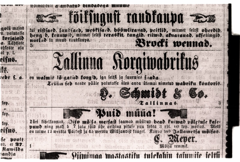 Eesti Postimees nr. 6, 1881. - Ajapaik