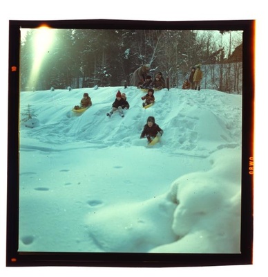 Photo  similar photo
