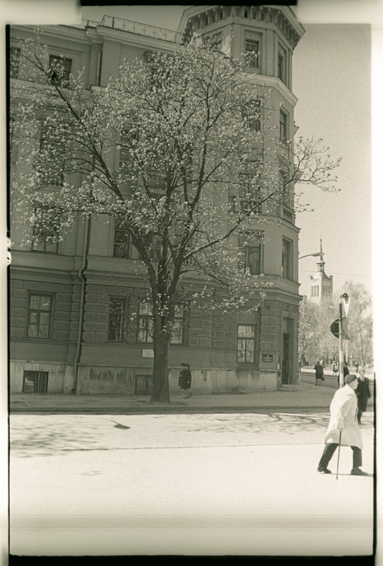 Maja Pärnu mnt. 7