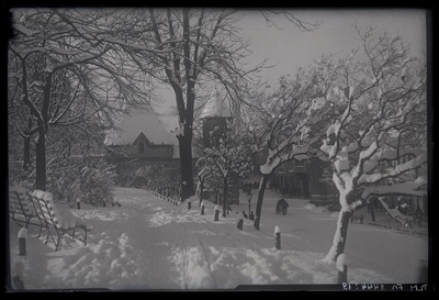 Tallinn. Vaade Musumäe pargile talvel. Taga Viru Värava tornid  duplicate photo